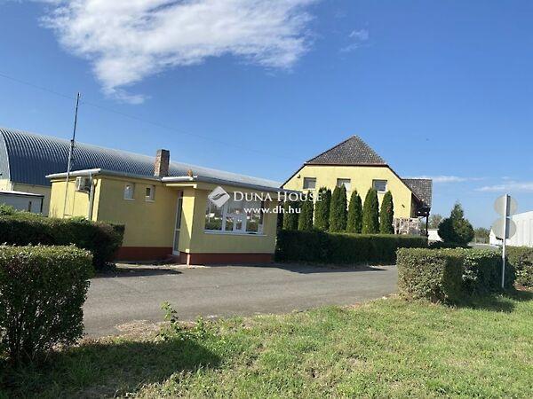 Budapesti, Mohács képe