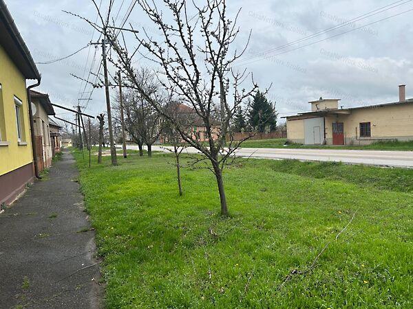 Kunszentmárton 3. képe