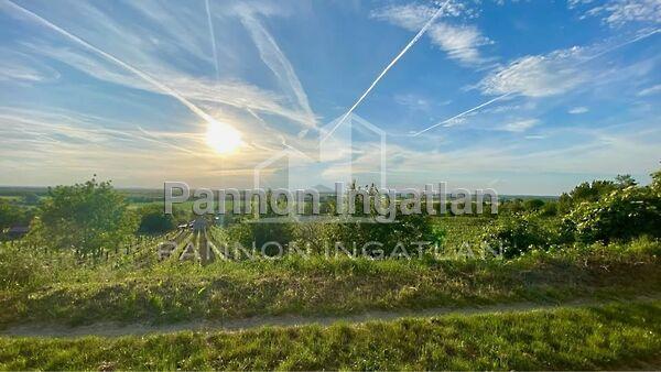 Somlószőlős képe