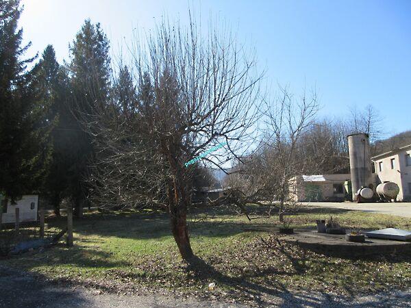 Újtelep, Királd 3. képe