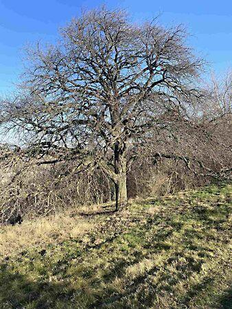 Alsópáhok 2. képe