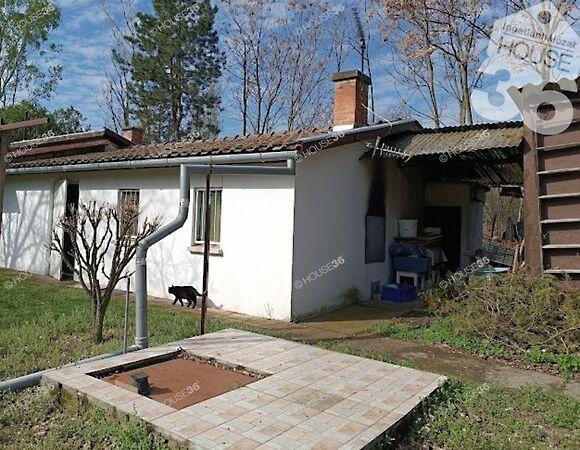 Kiskunfélegyháza 2. képe