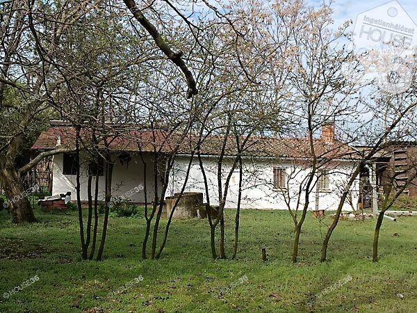 Kiskunfélegyháza 3. képe