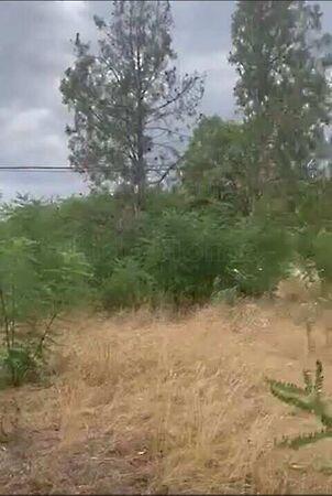 Tápióbicske 3. képe