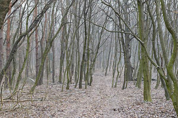 Zalaszántó 3. képe