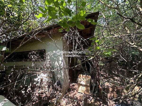 Barátság, Halásztelek 3. képe