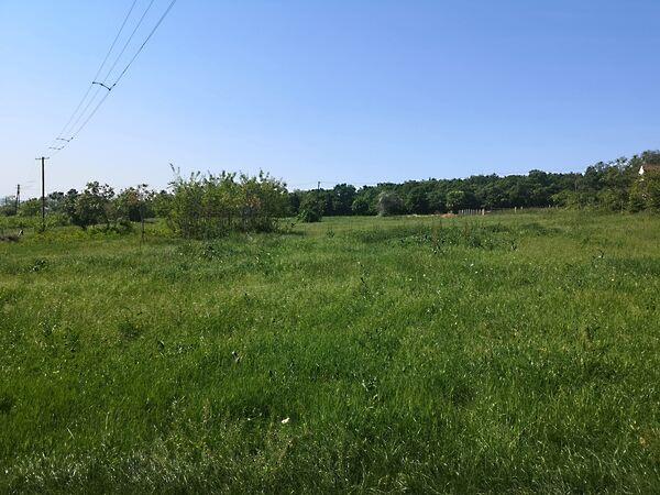 Révfülöp 2. képe