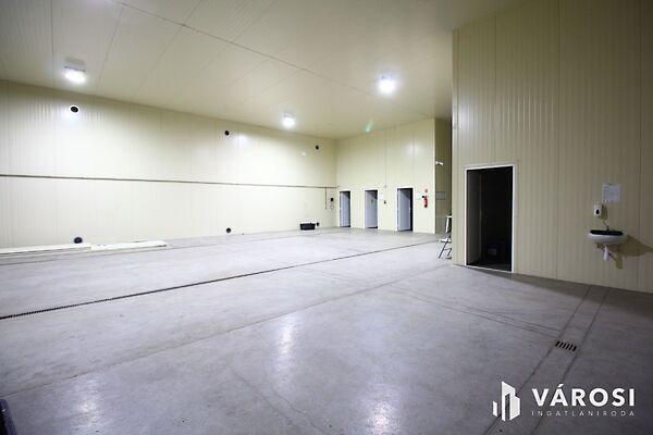 Hódmezővásárhely képe