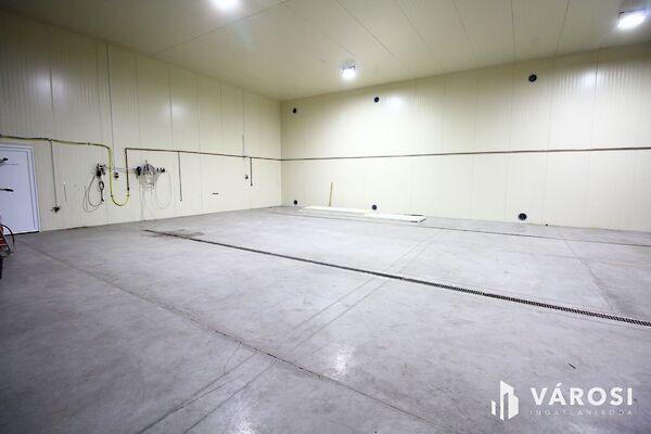 Hódmezővásárhely 2. képe