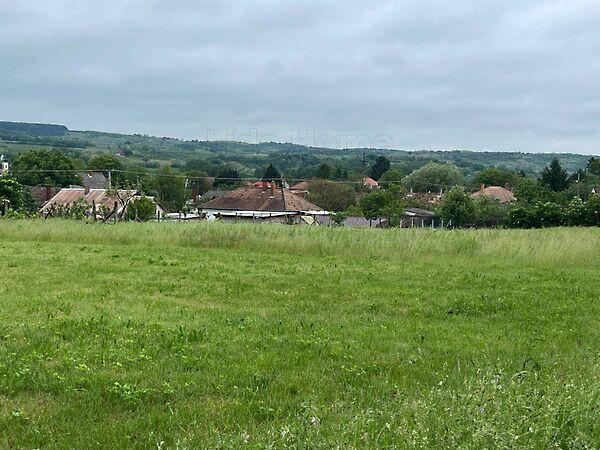 Szőlősgyörök képe