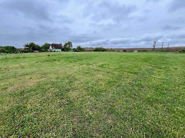 Szőlősgyörök 2. képe