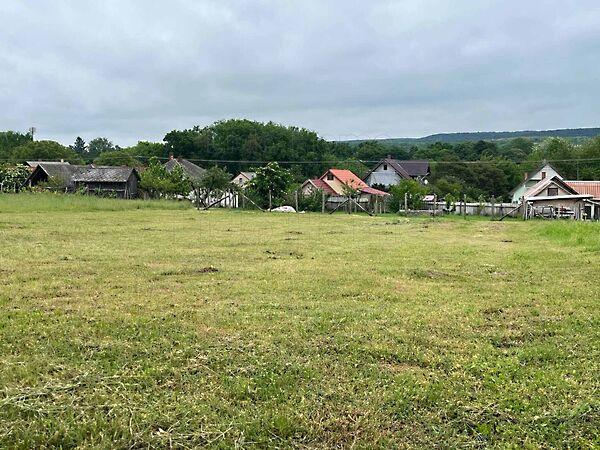 Szőlősgyörök 3. képe