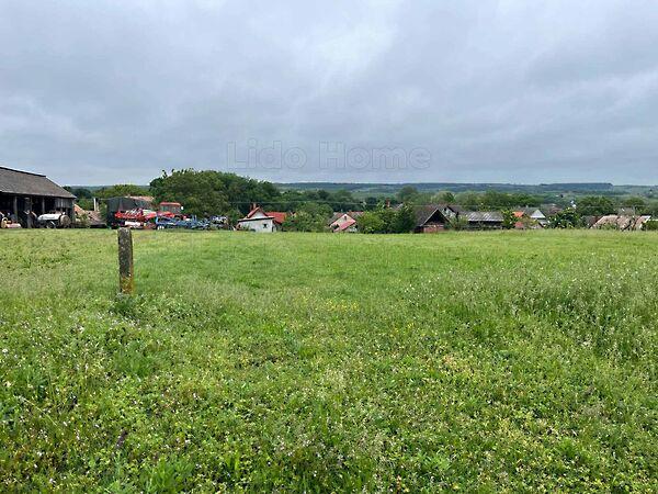 Szőlősgyörök képe