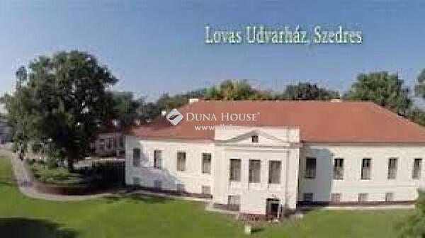 Ady Endre, Szedres 2. képe