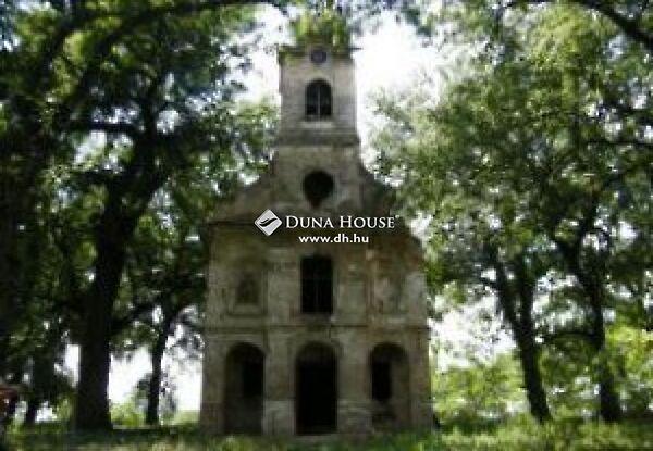 Ady Endre, Szedres képe