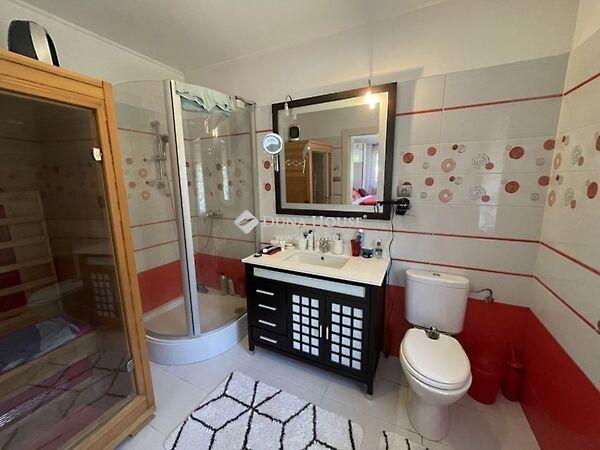 Sziget, Pócsmegyer képe