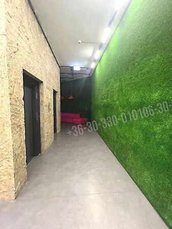 Üllői, Budapest, IX. kerület 2. képe