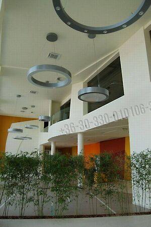 Madarász Viktor, Budapest, XIII. kerület 3. képe