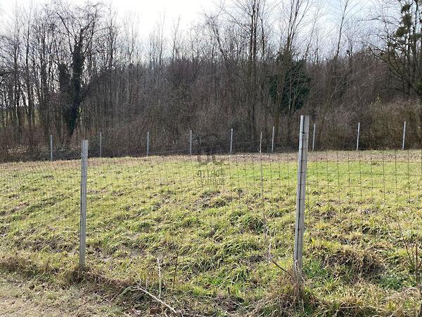 Kehidakustány képe