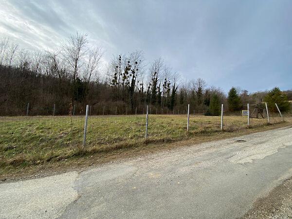 Kehidakustány 2. képe