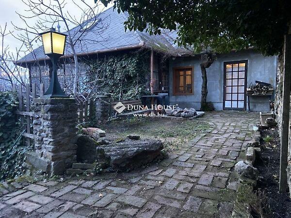 Kisszkókó, Pécs képe