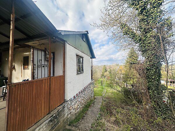 Csipkevirág, Miskolc képe