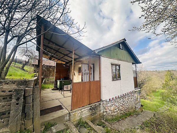 Csipkevirág, Miskolc 2. képe