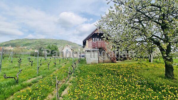 Somlójenő 3. képe