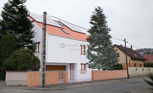 Faludi Ferenc, Pécs képe