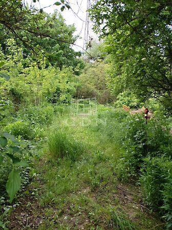 Biatorbágy 2. képe