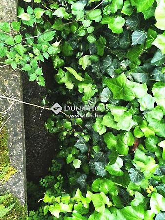 Dózsa György, Kesztölc 3. képe