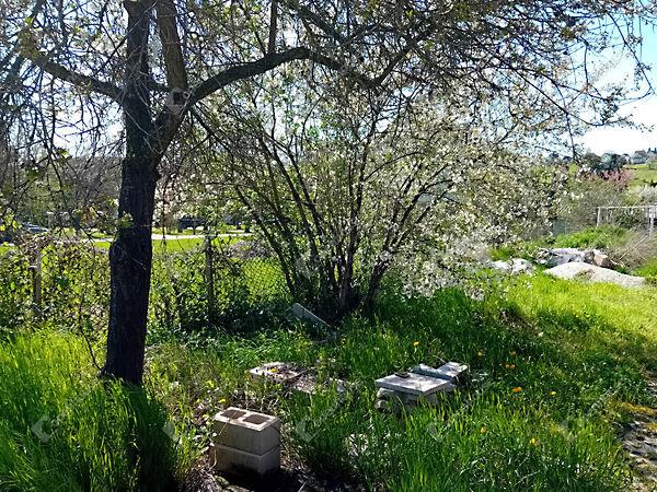 Vadász, Tarján képe