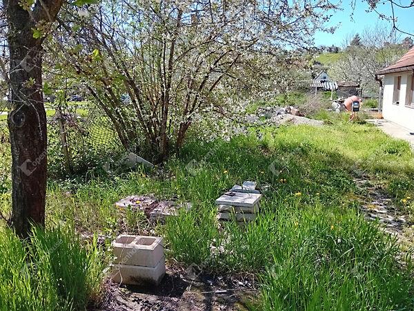 Vadász, Tarján 2. képe