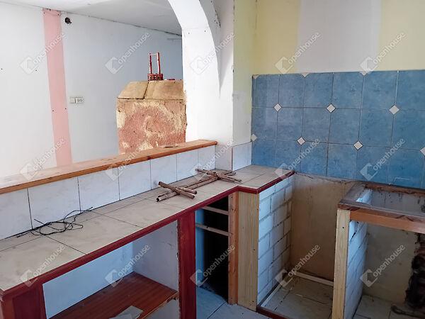 Xantus János, Csokonyavisonta képe