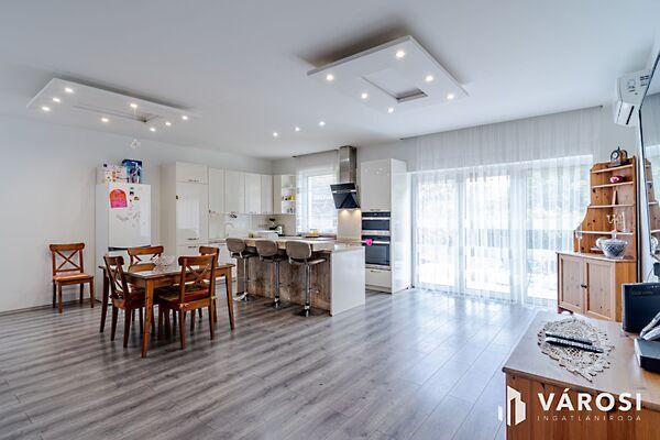 Szeged, Szeged képe