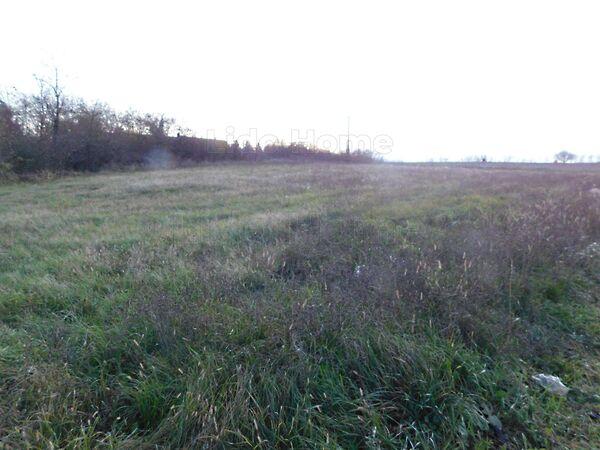 Bárdudvarnok 3. képe