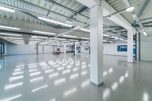 Siklósi, Pécs képe