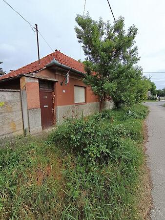 Eötvös, Hódmezővásárhely képe