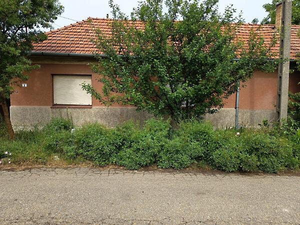 Eötvös, Hódmezővásárhely 2. képe