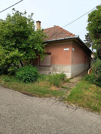 Eötvös, Hódmezővásárhely 3. képe