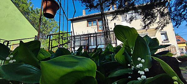 Baross Gábor, Budapest, XXII. kerület képe