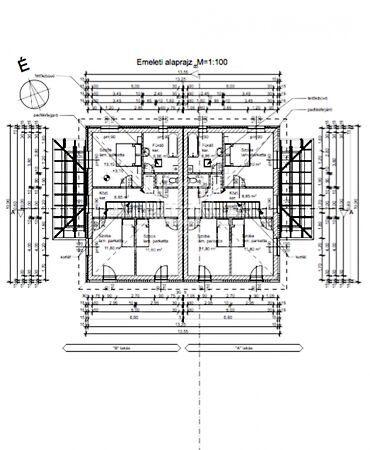Begónia, Érd 3. képe