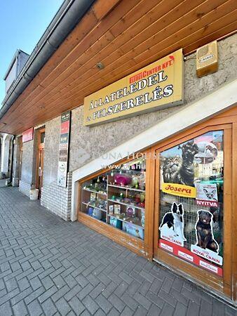 Ostermayer Károly, Mosonmagyaróvár képe