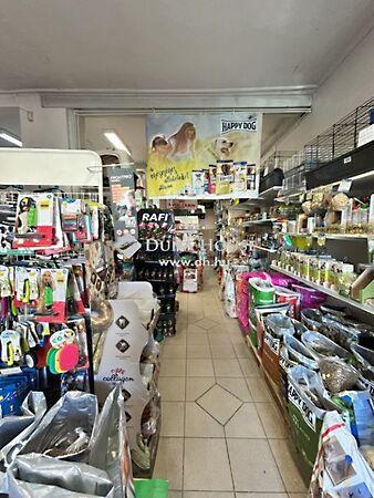 Ostermayer Károly, Mosonmagyaróvár 2. képe