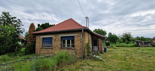 Kossuth Lajos, Bodrog képe