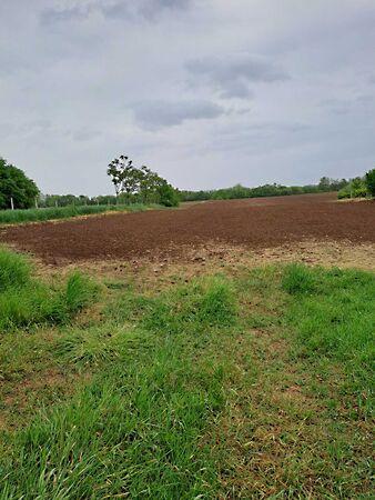 Nyíregyháza 3. képe