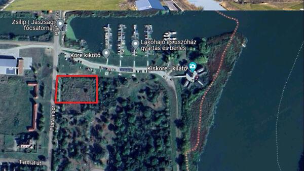 Platán, Kisköre 2. képe