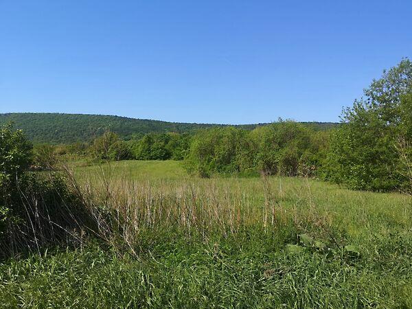 Balatonederics 2. képe