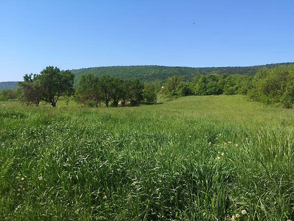 Balatonederics 3. képe