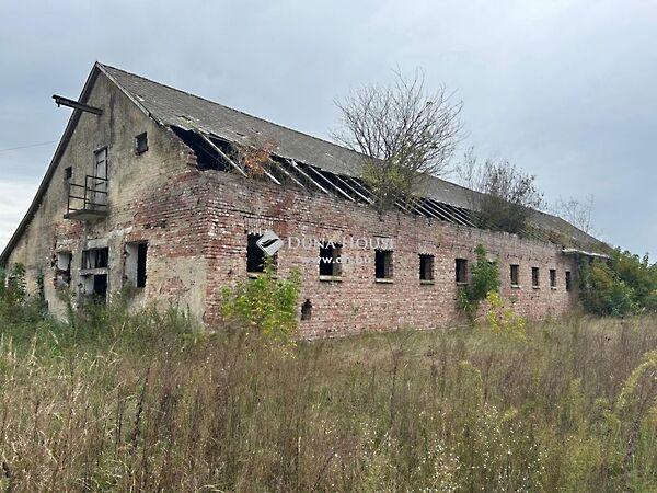 Petőfi, Darány 3. képe